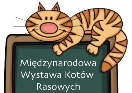 fot. Klub Kota X-Treme