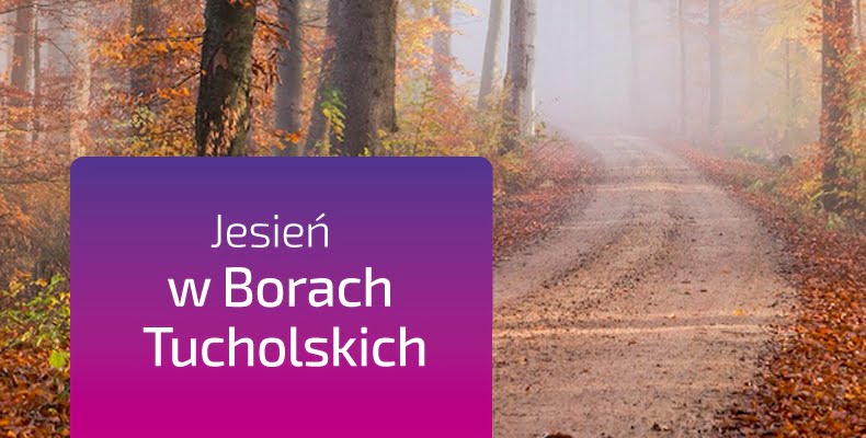 fot. artykuł sponsorowany