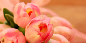 fot. artykuł sponsorowany