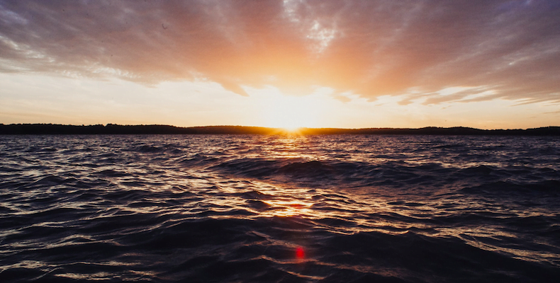 fot. artykuł sponsorowany