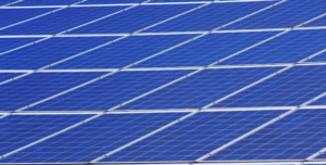 fot. artykuł sponsorowany