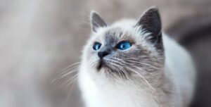 fot. artykuł sponsorowany