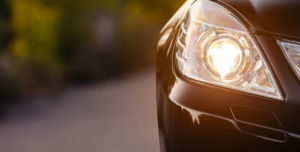 fot. artykuł sponsorowany