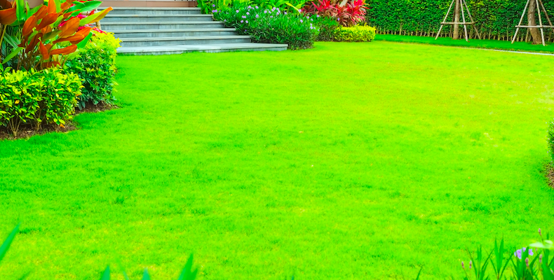 fot. artykuł sponsorowany