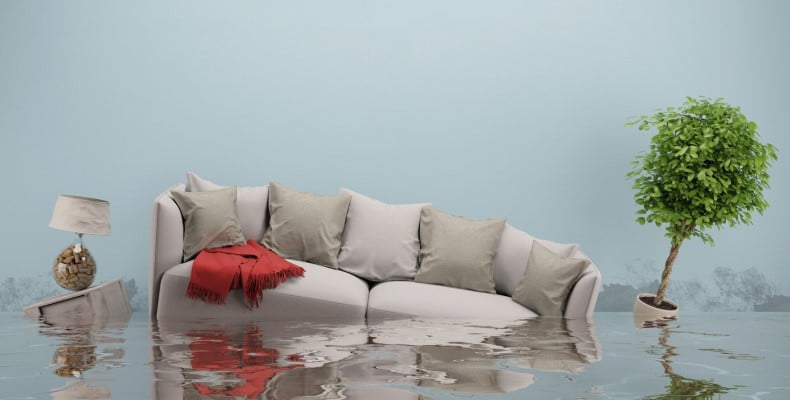 fot. artykuł sponsorowany