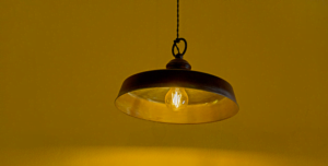 fot. artykuł sponsorowany