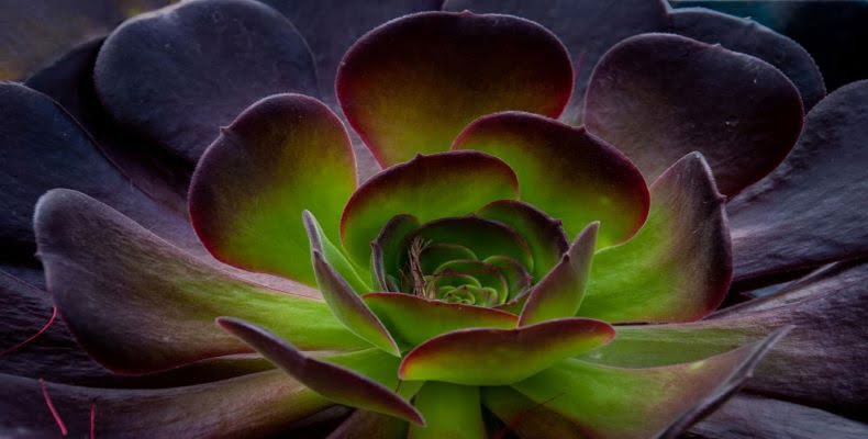 fot. artykuł sponsorowany