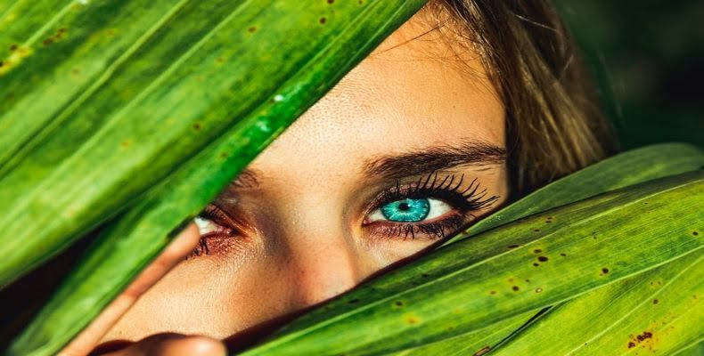 fot. artykuł sponsorowany