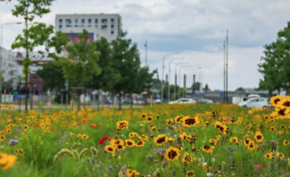 fot. Urząd m. st. Warszawy