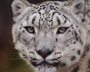 fot. ZOO warszawskie