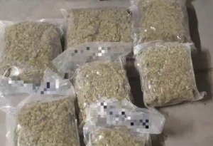 fot. KMP w Siedlcach