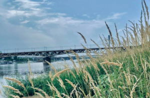 fot. Dzielnica Wisła/ Facebook