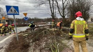 fot. Warszawska Straż Pożarna