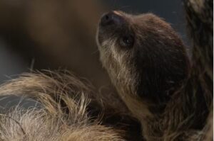 fot. Urząd m. st. Warszawy