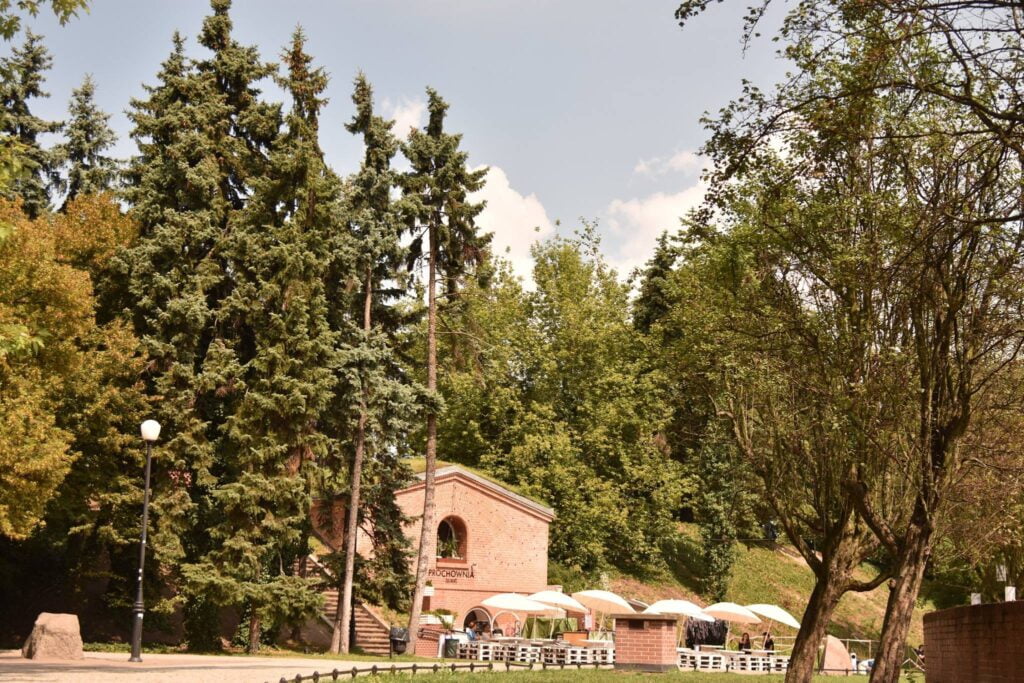 fot. Zarząd Zieleni