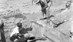 fot. Muzeum Nardowe/ Facebook