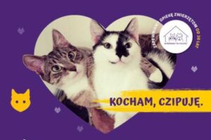 fot. materiał prasowy urzędu m.st. Warszawy