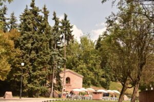 fot. Zarząd Zieleni