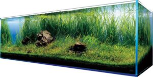 fot. artykuł sponsorowany