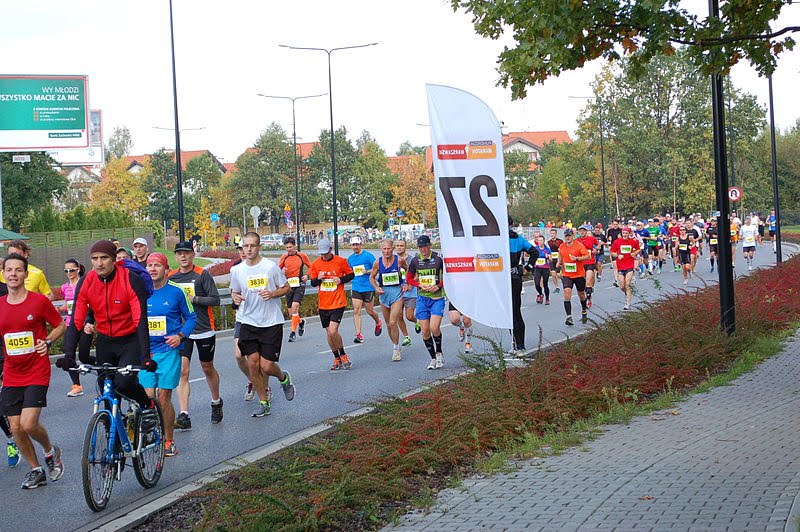 fot. wikimiedia common