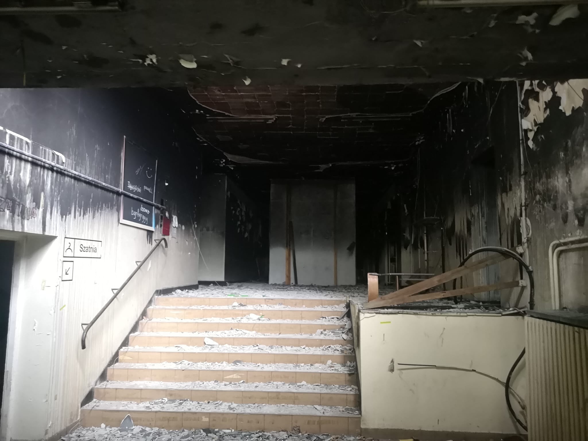 fot. facebook Antek Wiesztort