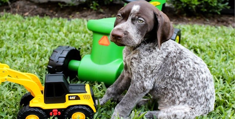 fot. artykuł sponsorowany