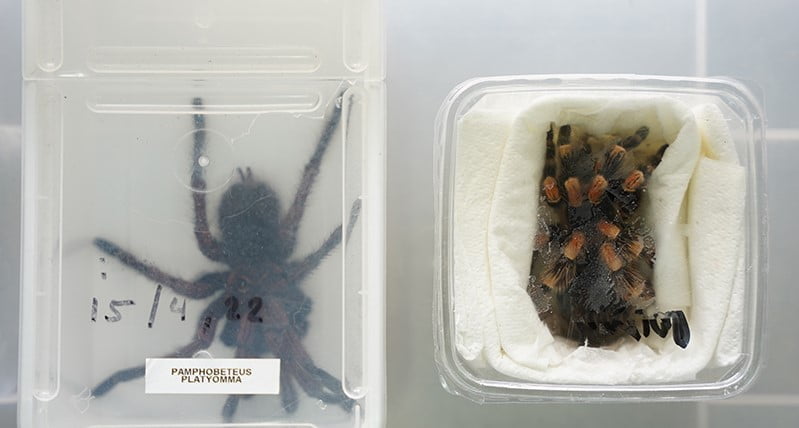 fot. www.mazowieckie.kas.gov.pl