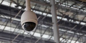 fot. artykuł sponsorowany