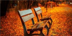 fot. artykuł sponsorowany