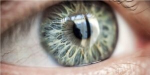 fot. artykuł sponsorowany