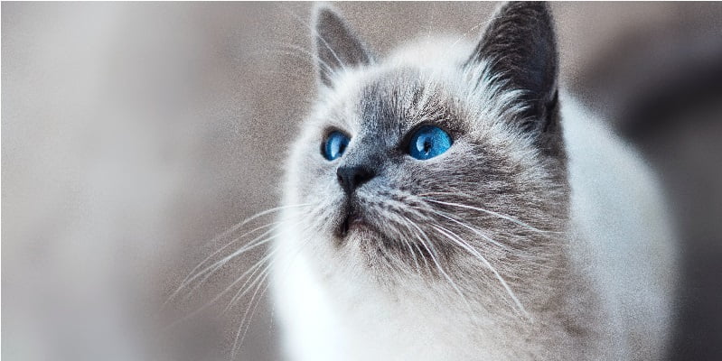 fot. artykuł sponsorowany