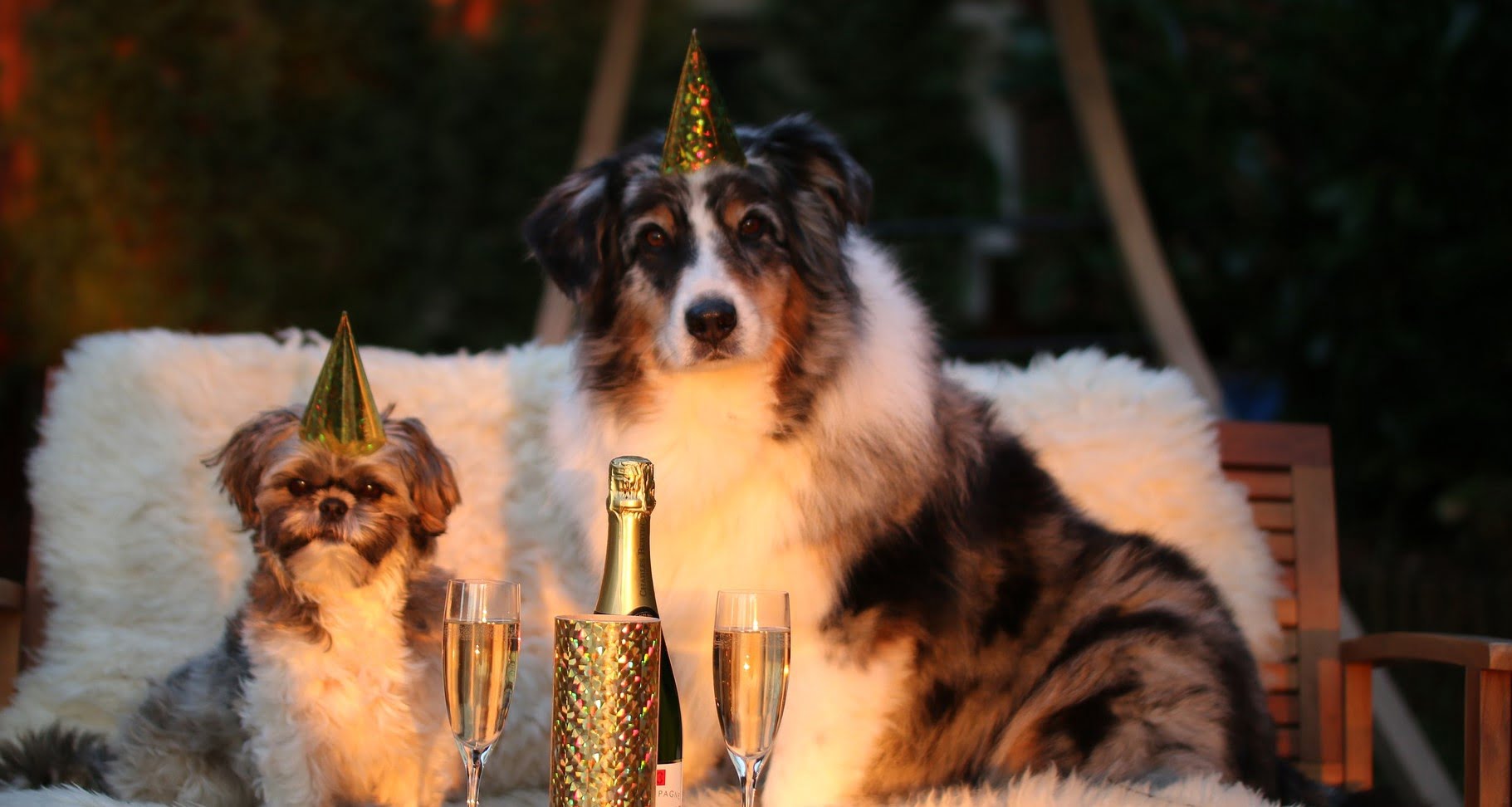 fot. pixabay/zdjęcie ilustracyjne