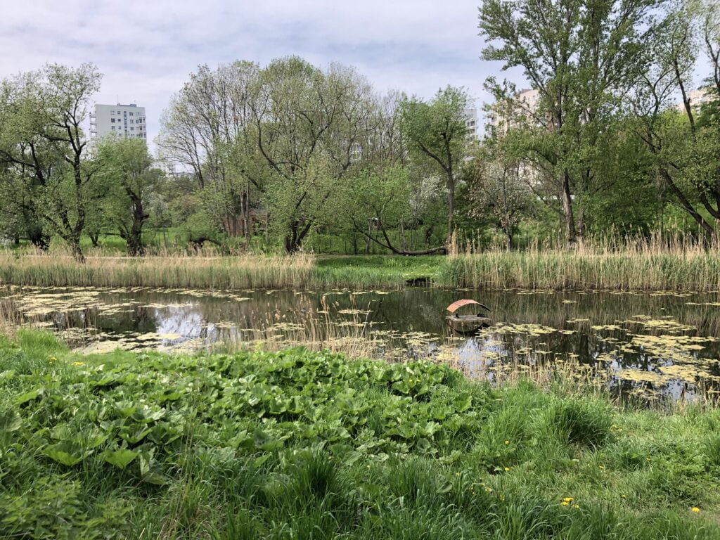 fot. Patryk Rowiński