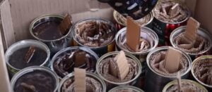 fot. Gazeta Olsztyńska YouTube