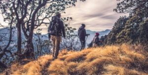 fot. artykuł sponsorowany