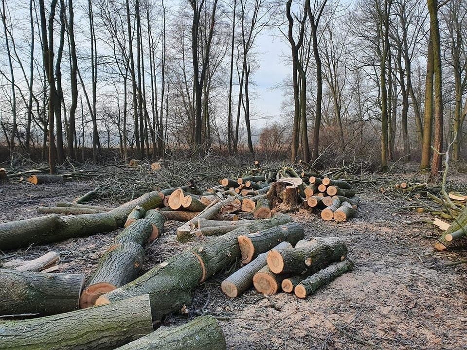 fot. paszkowianka.pl
