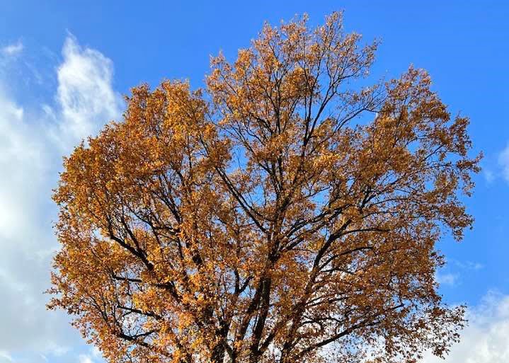 fot. Ela Jaroslawska Facebook