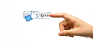 fot. artykuł sponsorowany