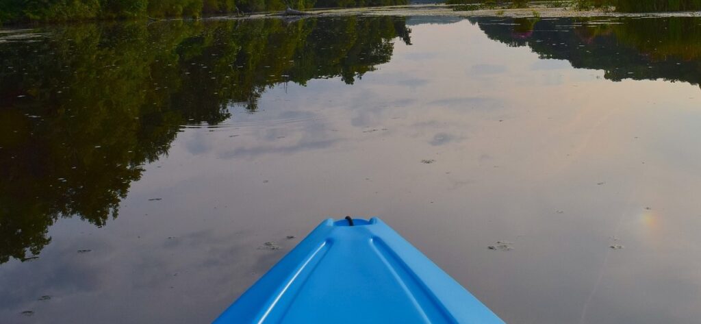 fot. pixabay/zdjęcia ilustracyjna