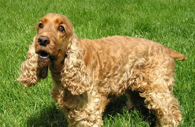 fot. ToB/zdjęcie ilustracyjne