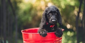 fot. artykuł sponsorowany