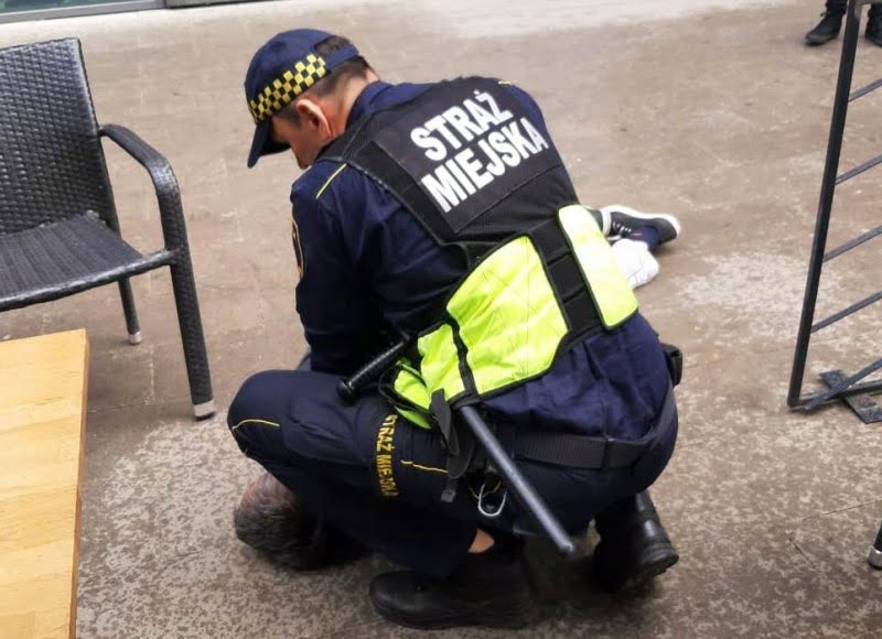 fot. Straż Miejska m. st. Warszawy