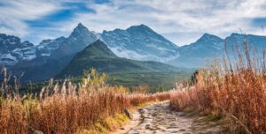 fot. artykuł sponsorowany