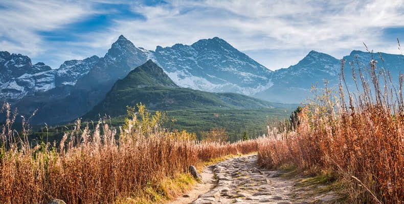 fot. artykuł sponsorowany