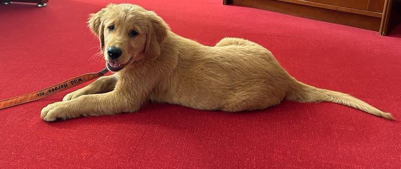 fot. Komenda Miejska PSP m.st. Warszawy