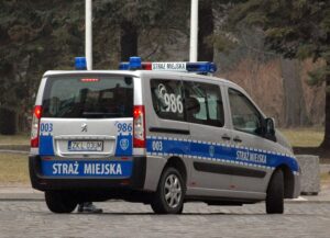 fot. wikimedia common