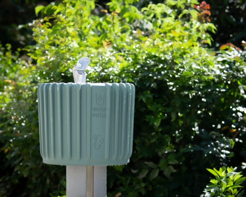 fot. Zarząd Zieleni