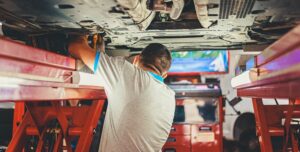 fot. artykuł sponsorowany