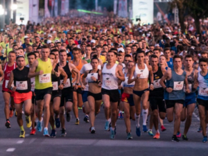 fot. materiały prasowe