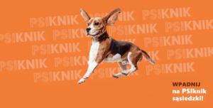 fot. materiały prasowe